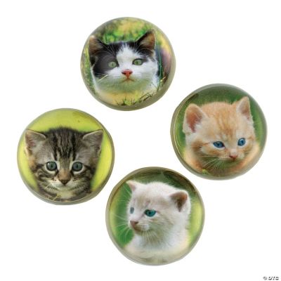 12 Kitten Bouncing Balls