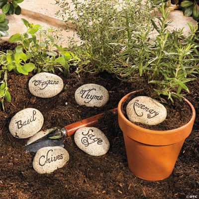 Mini Herb Garden Stones