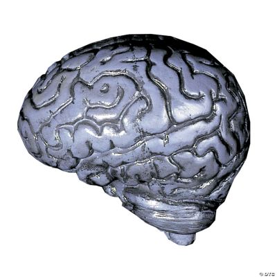 Human Brain - Grey