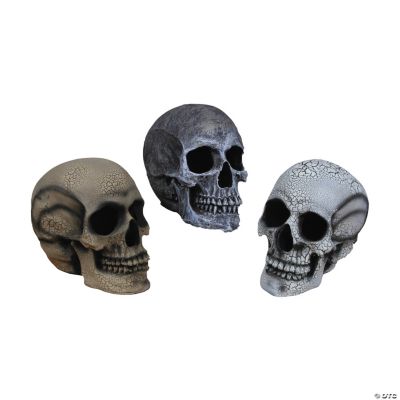 Large Grey Realistic Skull