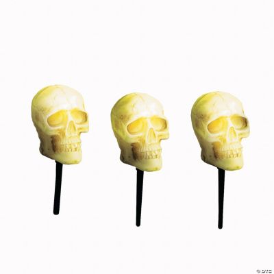Skull Pathway Lights & Sound