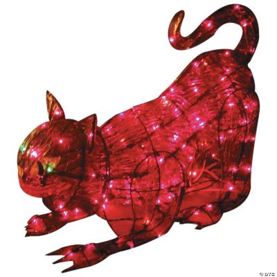 Light-Up Black Cat