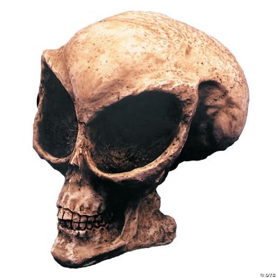 Alien Skull