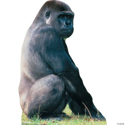 Gorilla Stand-Up