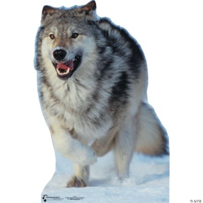 Wolf Stand-Up