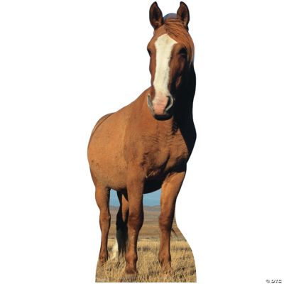 Horse Stand-Up