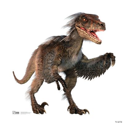 Raptor Stand-Up