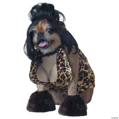 Lady Is A Tramp Pet Costume