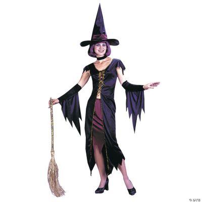 Witchy Witch Standard Adult Women’s Costume