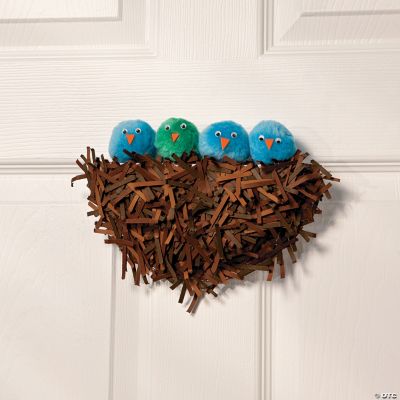 Baby Bird Nest