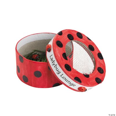 DIY Bug Boxes 6 pcs., DIY Crafts, Crafts for Kids, Craft & Hobby