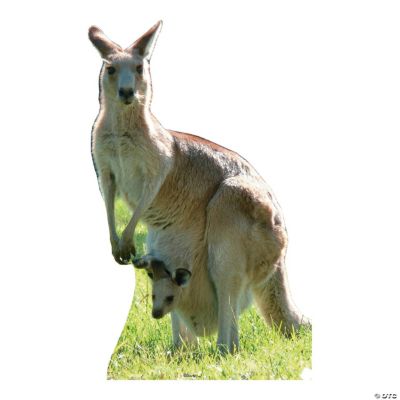 Kangaroo Stand-Up