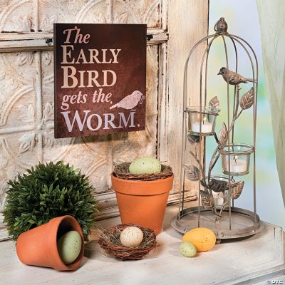Early Bird Décor