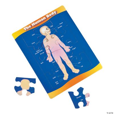 Human Body Reveal Puzzles Oriental Trading