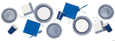 Navy Gingham Party Supplies