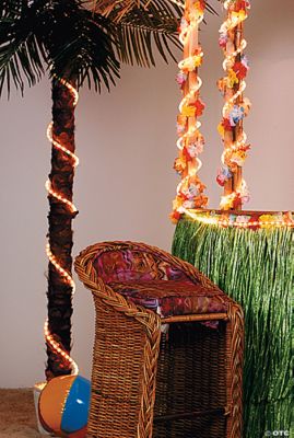Clear Rope Lights