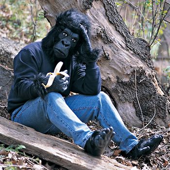 Gorilla Adult Costume