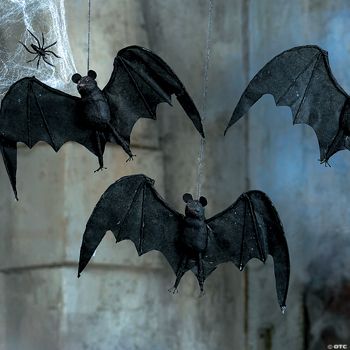 Hanging Bats