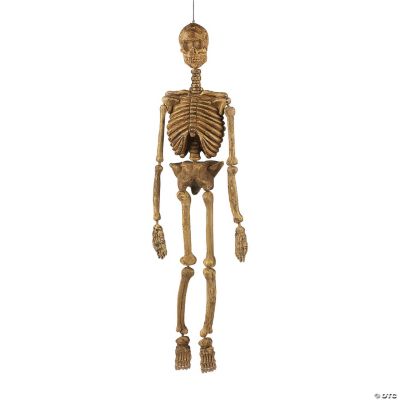 Skeleton Decoration