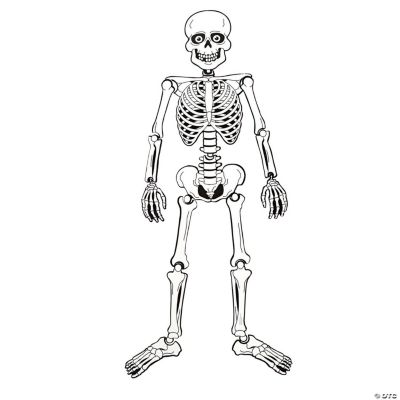 Skeleton Magnet Set