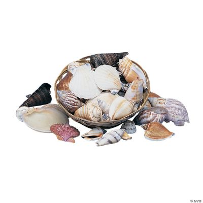 Shell Assortment In Basket