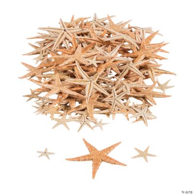 Mini Natural Sugar Starfish