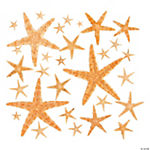 Natural Starfish Assortment - 30 Pc.
