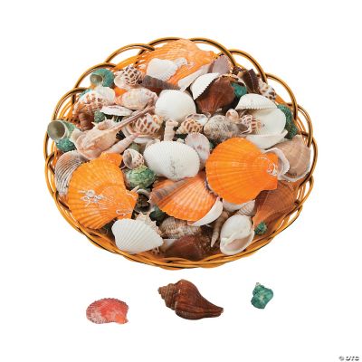 Jumbo Basket of Seashells
