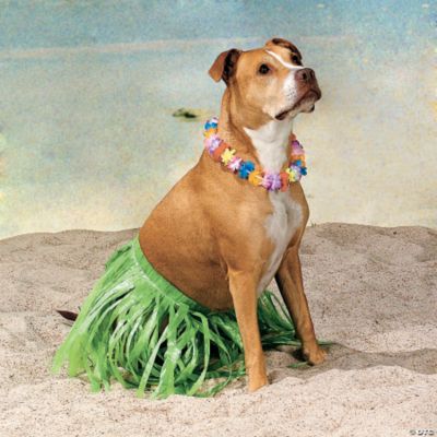 Large Hula Dog Costume