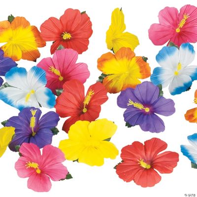 Decorative Hibiscus