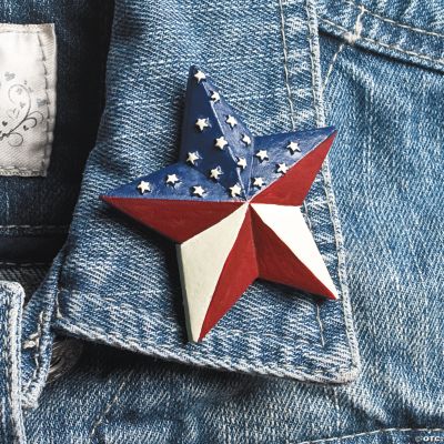 Americana Star Pin