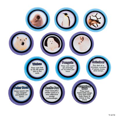 Icy Tundra Trading Coins