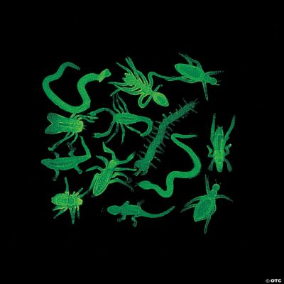 Glow-In-The-Dark Nature Assortment