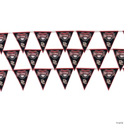 MLB® Washington Nationals™ Pennant Banner