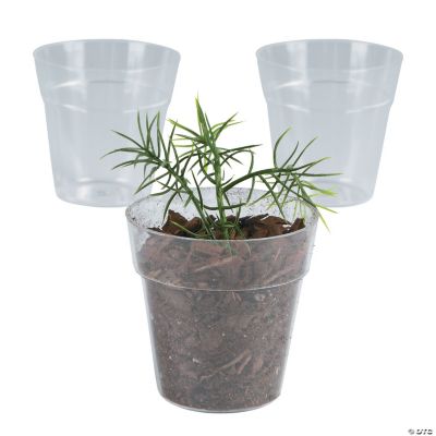 Clear Flowerpots