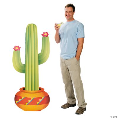 Cactus Stand-Up