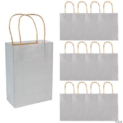 Silver Medium Craft Bags