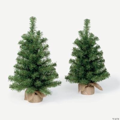 Evergreen Tabletop Trees