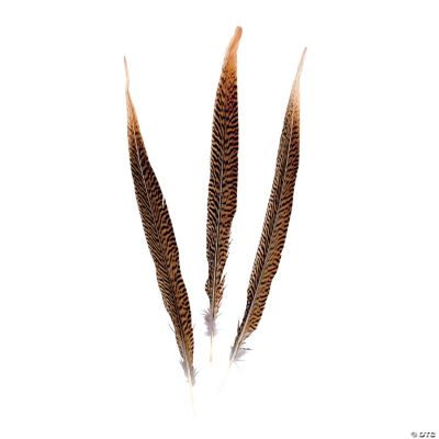 Pheasant Feathers