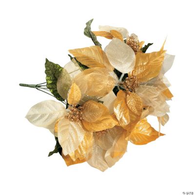 Gold Poinsettia Bushes