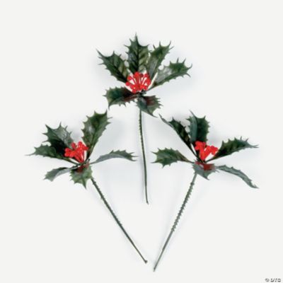 Holly Picks