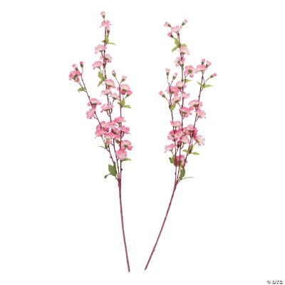 Cherry Blossom Branches