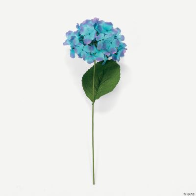 Blue Hydrangea Flowers