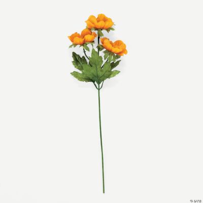 Orange Poppy Flowers