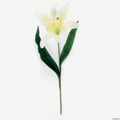 White Lily Flowers