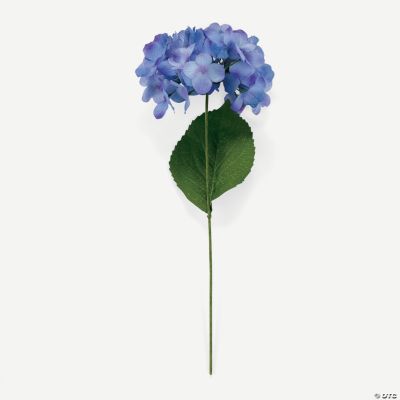Purple Hydrangea Flowers