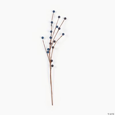 Blueberry Picks