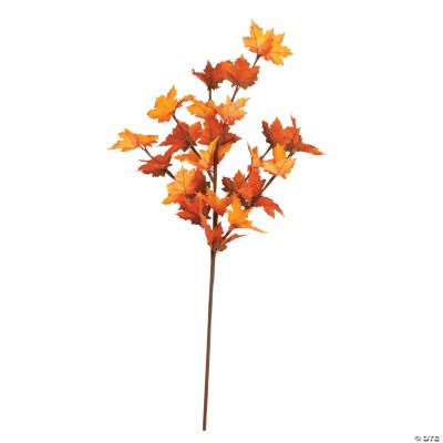 Maple Leaf Branches
