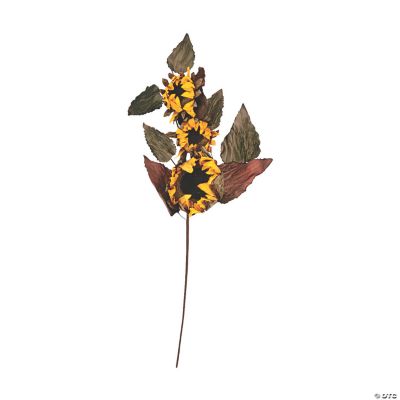 Large Sunflower Stem