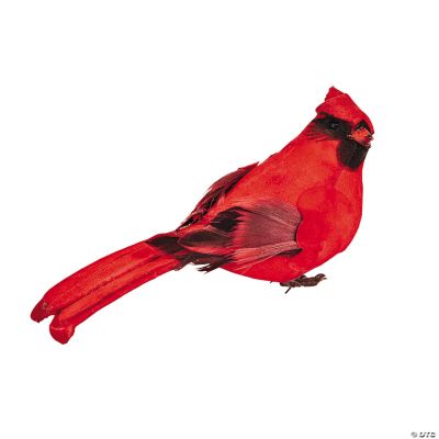 Cardinal